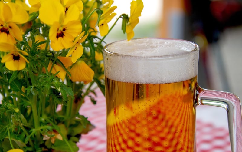 Craft Beer and Food Pairing